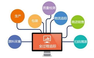 软件定制开发服务包含哪些内容